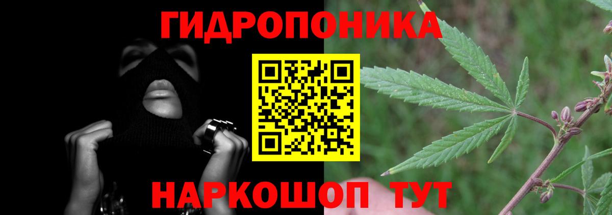 Бошки Шишки марихуана Домодедово